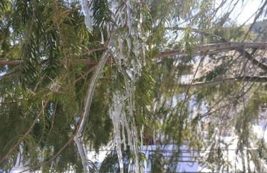 Comodo appartamento in Sila Moccone-Camigliatello - Foto 39