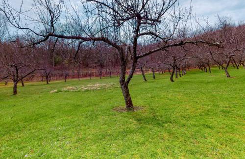 Bluebell Lake Retreat - Photo 8