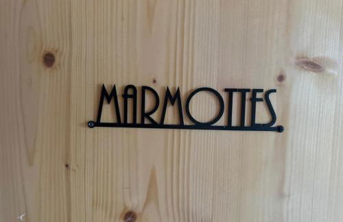 Chalet La Foge - Samoens x 14, skis aux pieds - Photo 19