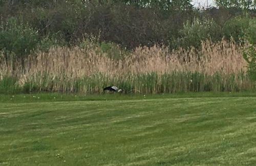 Haus Masur - Photo 57