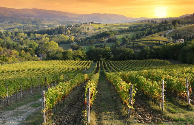 Home Elena private garden Chianti view - Foto 12