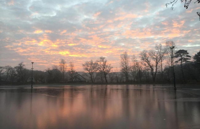 Elite Holiday Home in North Holland near Forest - Foto 34