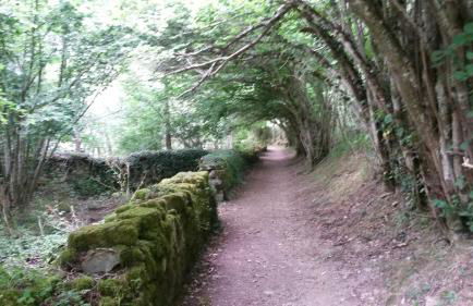 Apartamento en Isaba (NAVARRA) - Foto 13