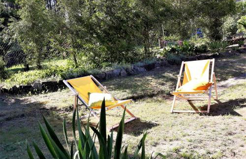 EKO - Domek jezioro Steszewko - Foto 30