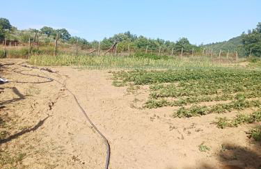 Torre del Drago - Foto 45