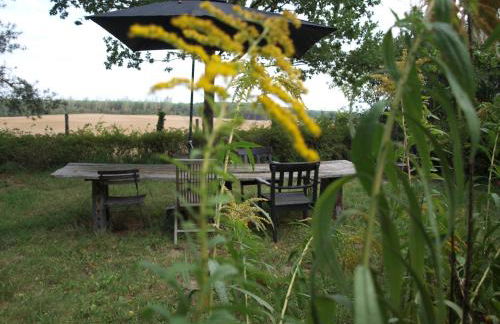 Natur erleben und Ruhe genießen - Foto 21