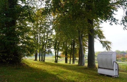 Frühlingserwachen im Haus Wassermann - Foto 29