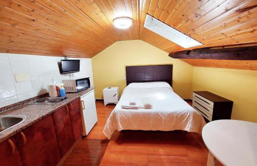 Apartahotel portal de leon - Photo 45