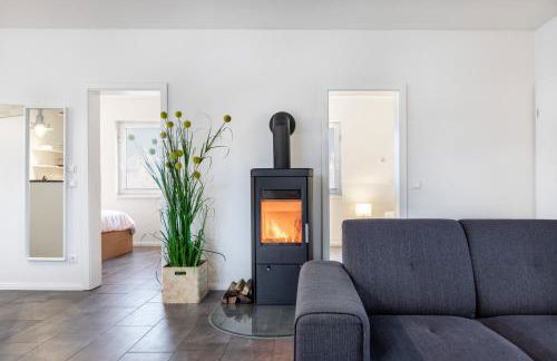 Salzhaff StrandHäuser mit Kamin und Terrasse OFC 17 - Foto 16