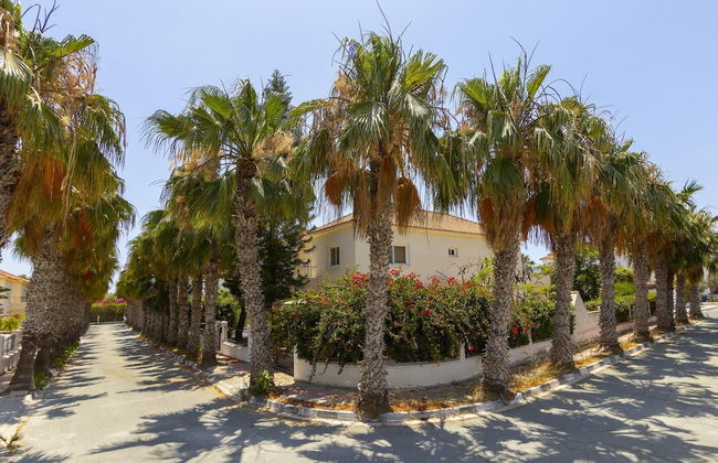 Meneou Seaside Mansion 7 - Foto 54