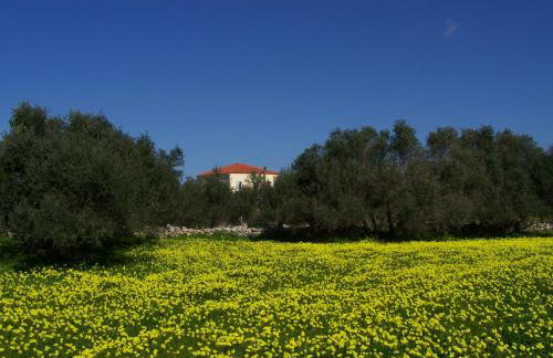 Manolo s olive farm, apartment with seaview - Foto 9