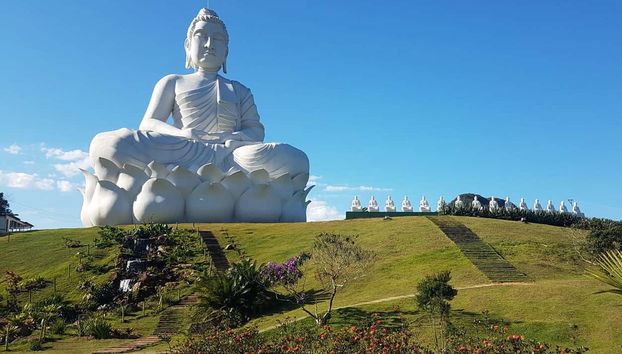 Ibiraçu Buddha Tour + Other Sights - Foto 2