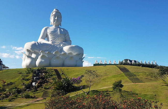 Excursão à estátua do Buda gigante - Foto 2