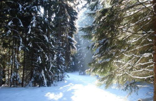 Austragshaus Almbranz - Foto 38