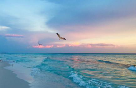 Terrace at Pelican Beach 1205 2 Bedroom Condo by Pelican Beach Management - Foto 74