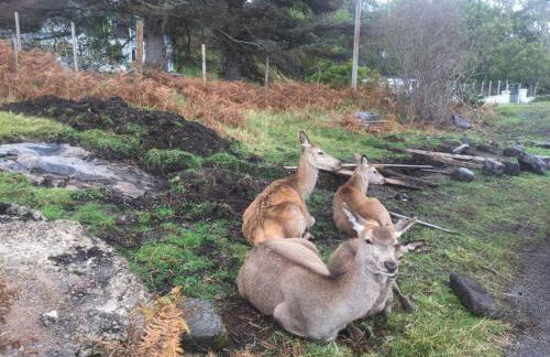 The Old Coastguard Station, Lochinver - Foto 19