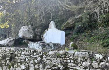 Bloom Cottage I - Sintra montain - Foto 30