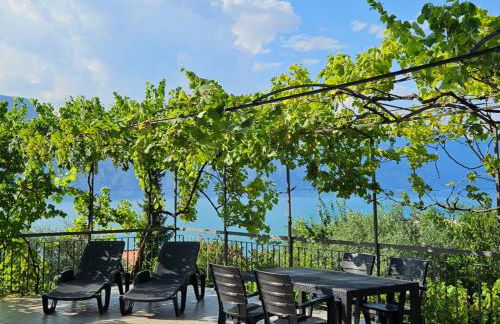 Point of View - Foto 8