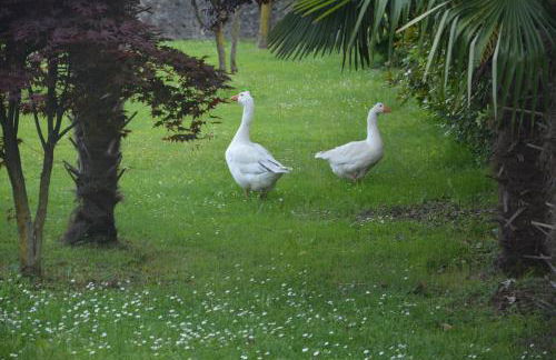 Apartment San Bernardo - Foto 24