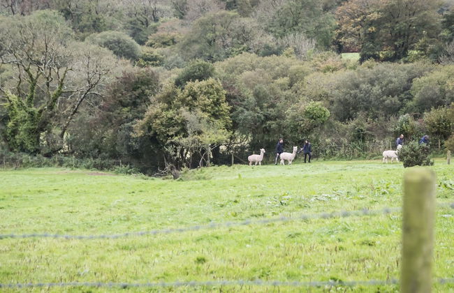 Orchard Cottage - Luxury Barn Conversion - Foto 54