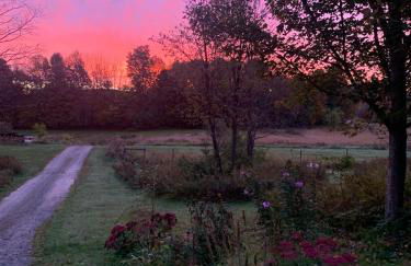 The Disco Den on Toad Road - Photo 24