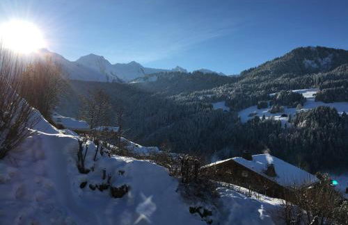 chalet artheis - Photo 38