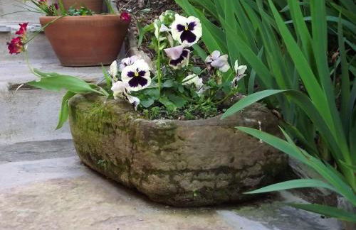 Charming House Terrace Amarante - Foto 61