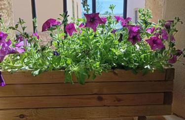 LA CASITA DEL CARRETERO - Foto 22