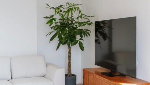 VIEW Garda Lake - Foto 3