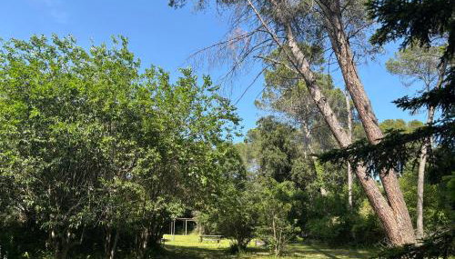 Vivenda de luxe a Barcelona - Foto 3, Garden