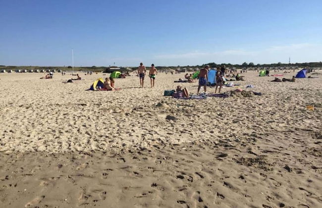 Peaceful Retreat Near Zeeland Beach - Photo 35