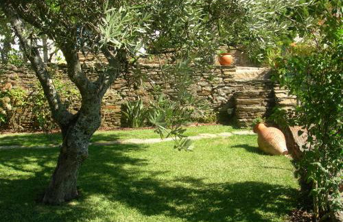 Quinta da Padrela Winery House - Foto 52