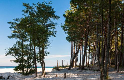 Nadmorski Apartament z dostępem do basenu, sauny, jacuzzi i ogródkiem przy plaży 114 Rezydencja Niechorze - Foto 16