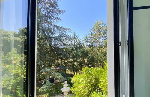 Le Chat Vert - Appartements Adults Only - Foto 38