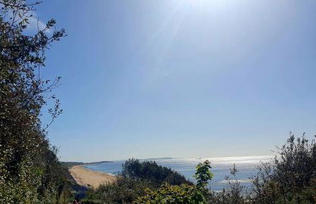 Garden view beach apartment - Photo 43