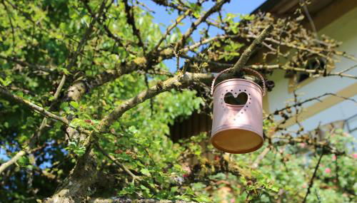 Beim Peterschmied - Foto 3