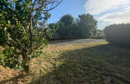 Les amis de Saint Jacques - Foto 14