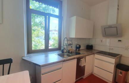 Großes Haus mit 3 Wohnungen Ravensburg Innenstadt - Foto 4