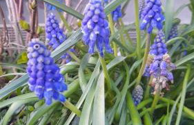 Maison An Ty Göal - Foto 9