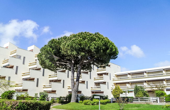 Le Serpent de Mer - Foto 24