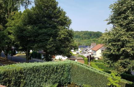 Rentrisch am Waldrand - Foto 2