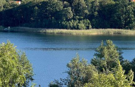 Nad Kamieniem - domki całoroczne - Foto 26
