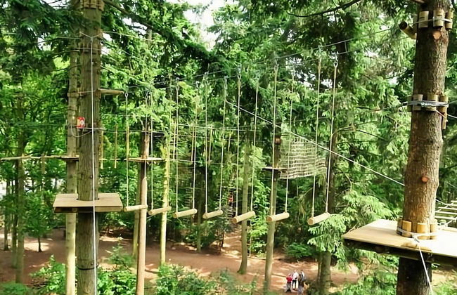 Holiday Home in Zelhem With Garden - Photo 30