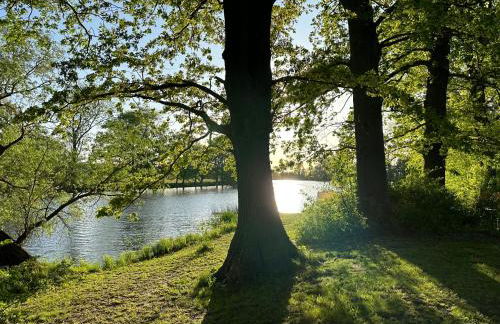 Villa Schuwardt auf Nordend - Foto 17