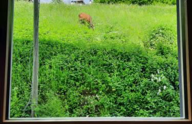 Ama Dolomiti - Residence - Photo 13