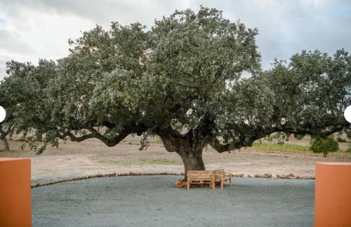 Herdade Monte Gordo - Foto 14