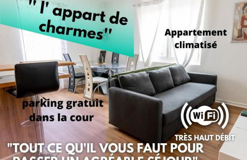 appart de charme a 2 pas du centre de Montbrison - Foto 2