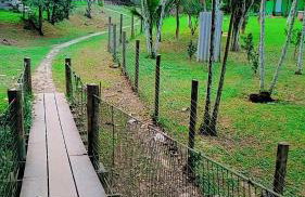 Parati Pousada kadoshi - Foto 19