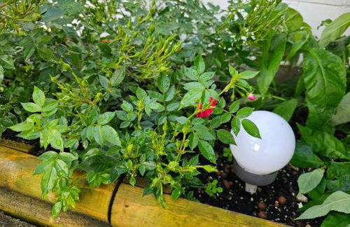 Altes Fischerhaus Zehdenick - Ferienhaus an der Havel - Foto 44