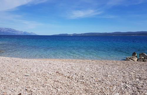 Sita Apartmani - Foto 29